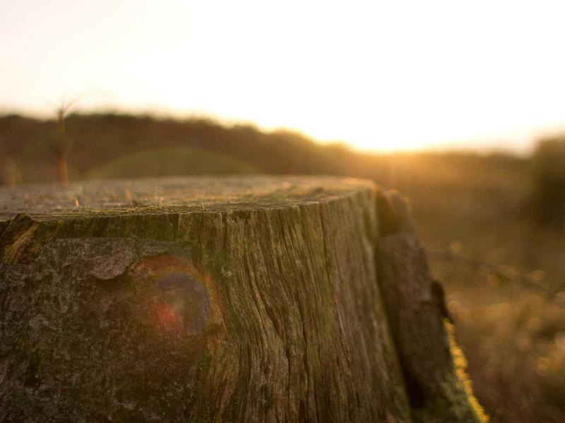 sudoku offline mode screenshot 6