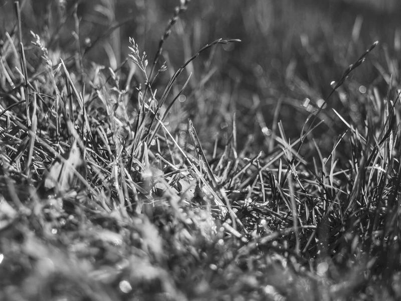 sudoku offline mode screenshot 1